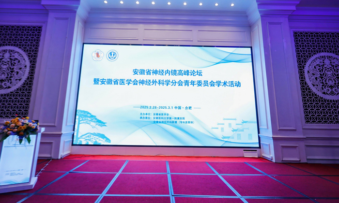 聚焦前沿，共話未來：萊沃醫(yī)療助力安徽省神經(jīng)內(nèi)鏡高峰論壇