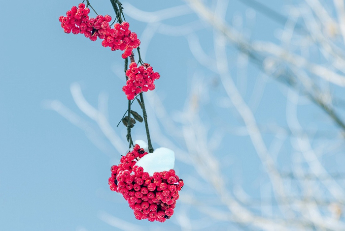 【萊沃醫(yī)療：知識分享】今日小雪，快“藏”好這份健康秘籍！